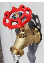 Spigot-toornto